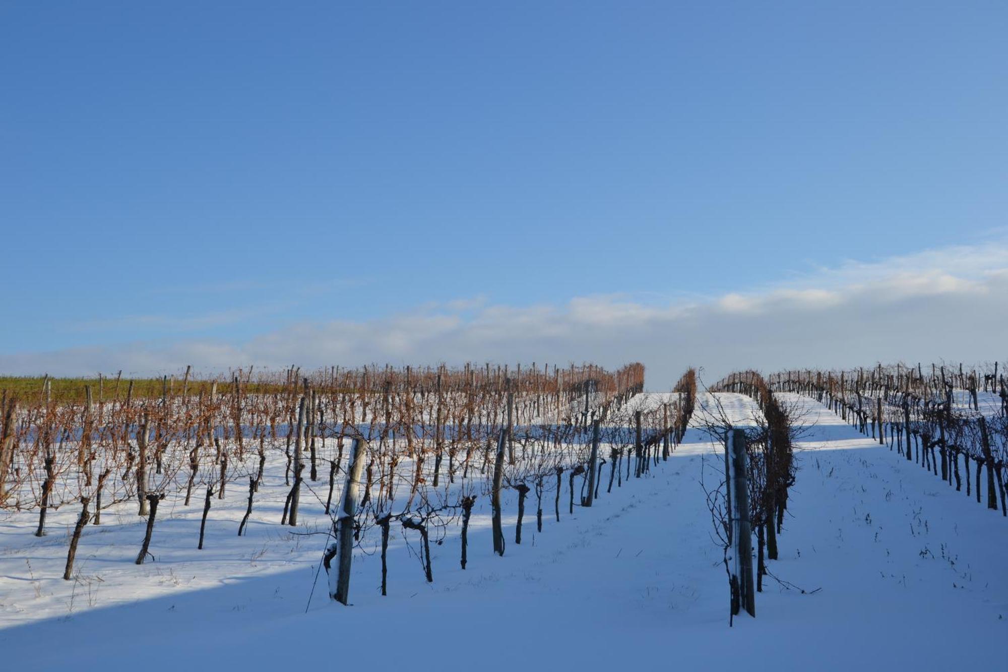 Wein + Bett Wiedeck Stetten エクステリア 写真